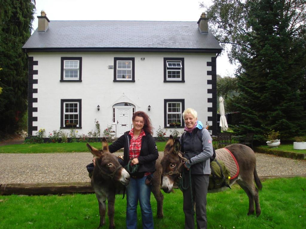 Ashton House Avoca Exterior foto